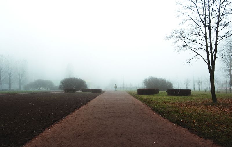 Деревья, Дорога, Туман, Улица, Фото, Человек *** фото превью