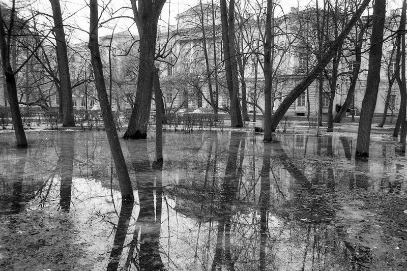 Весна. фото превью