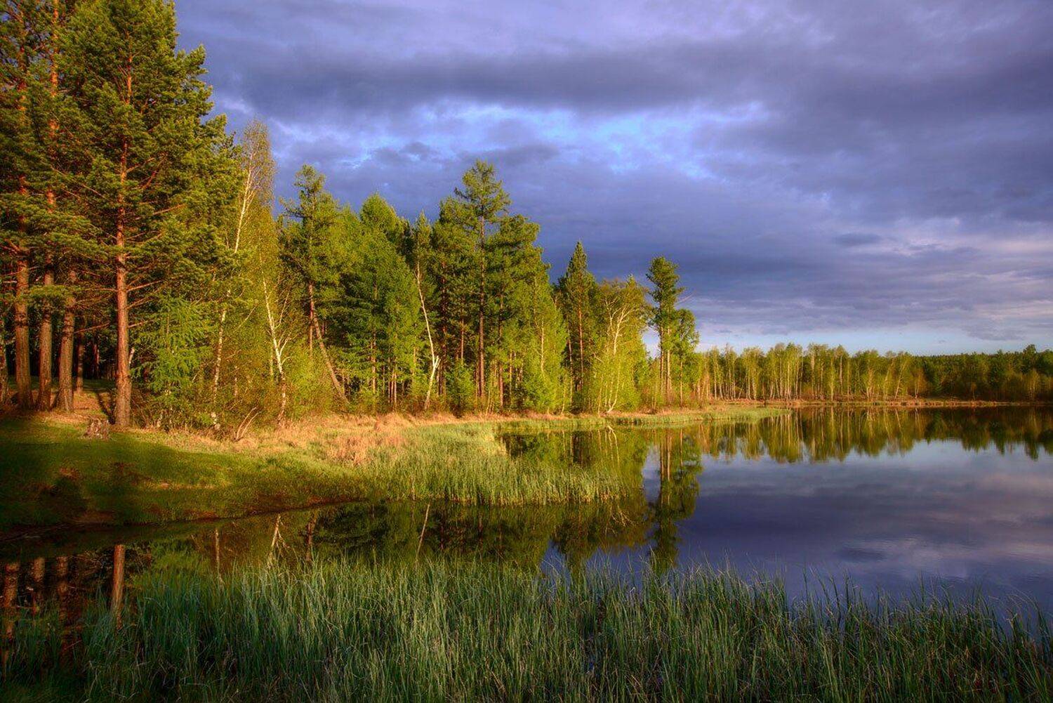 , Сергей Брагин