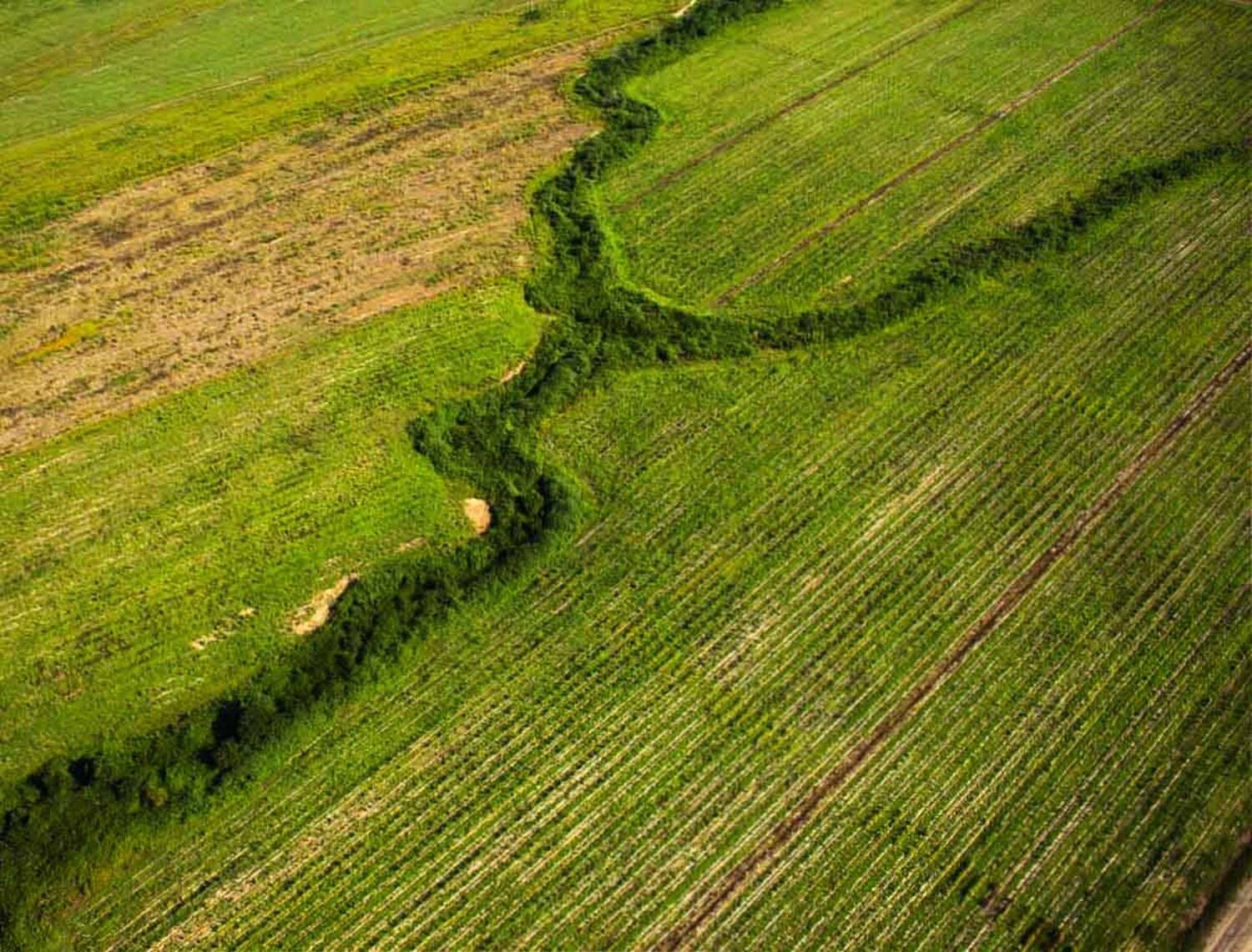 Абхазия, виноградник, речка, аэро, aerial, школа Бертрана, school Bertrand, Борис Резванцев