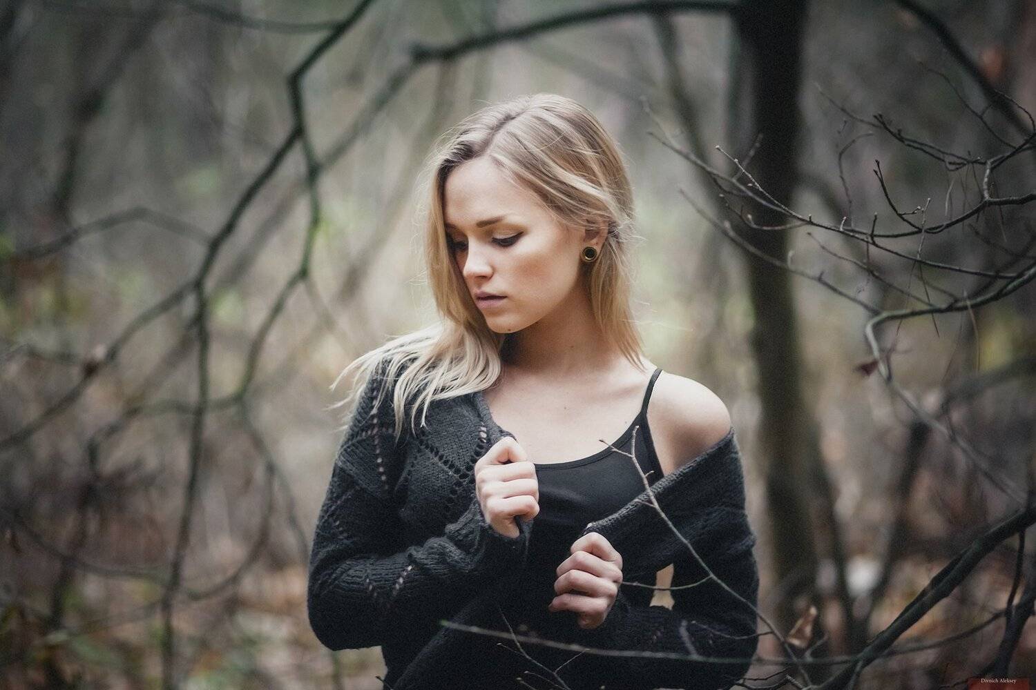 , Алексей Дивнич