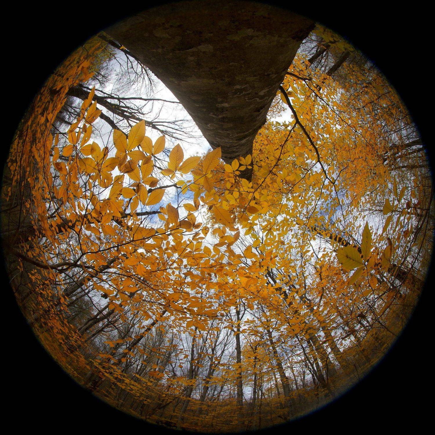 Кавказ, Осень, Предгорья, Никифоров Егор