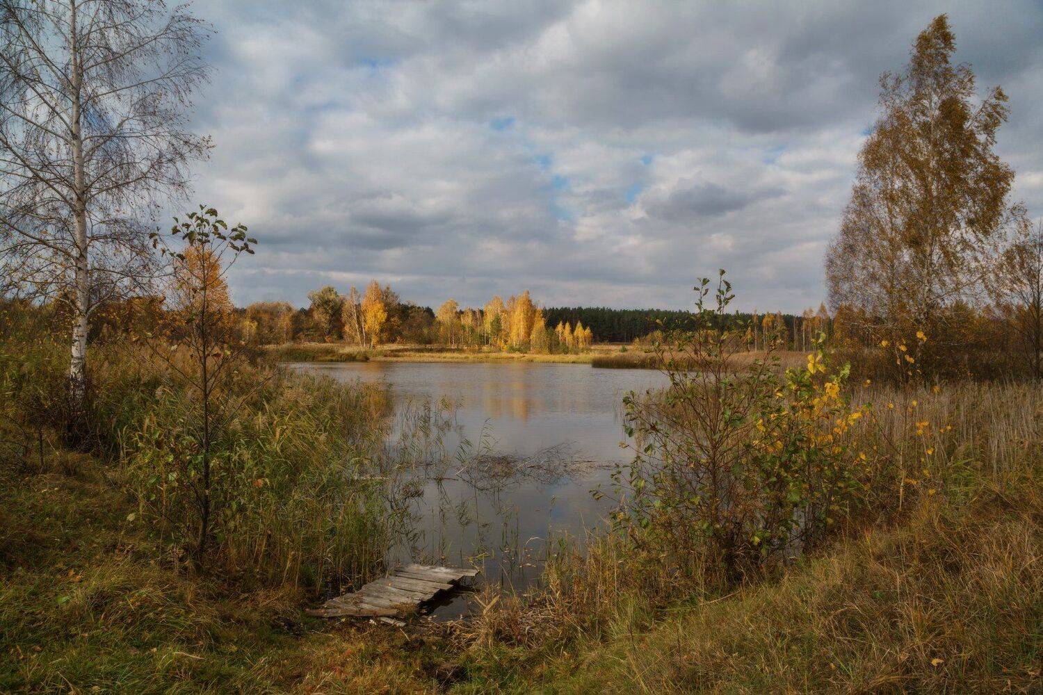 Ноябрь, Озеро, Осень, Полесье, Александр Удовиченко