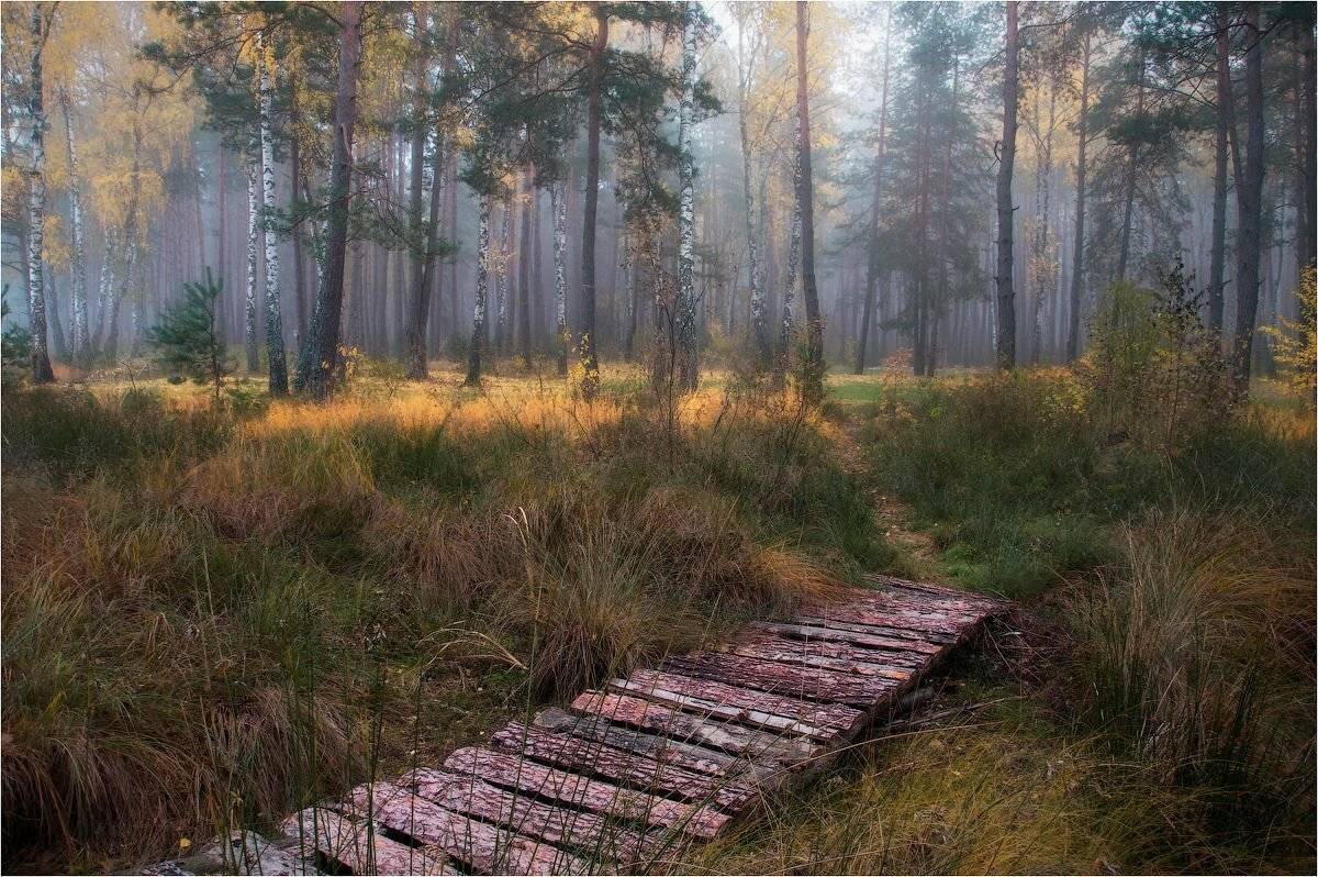 , Александр Маковский