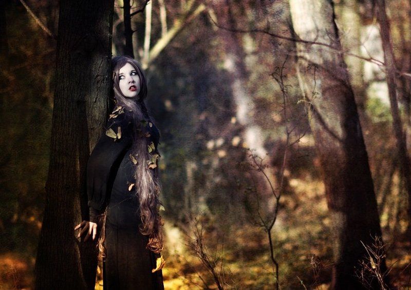 Morgiana фото превью