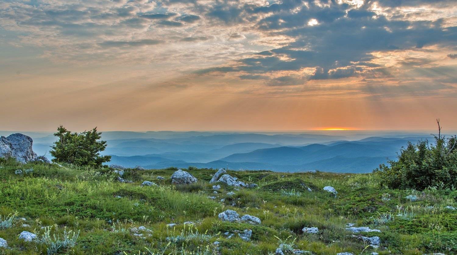 , Станислав Савицкий