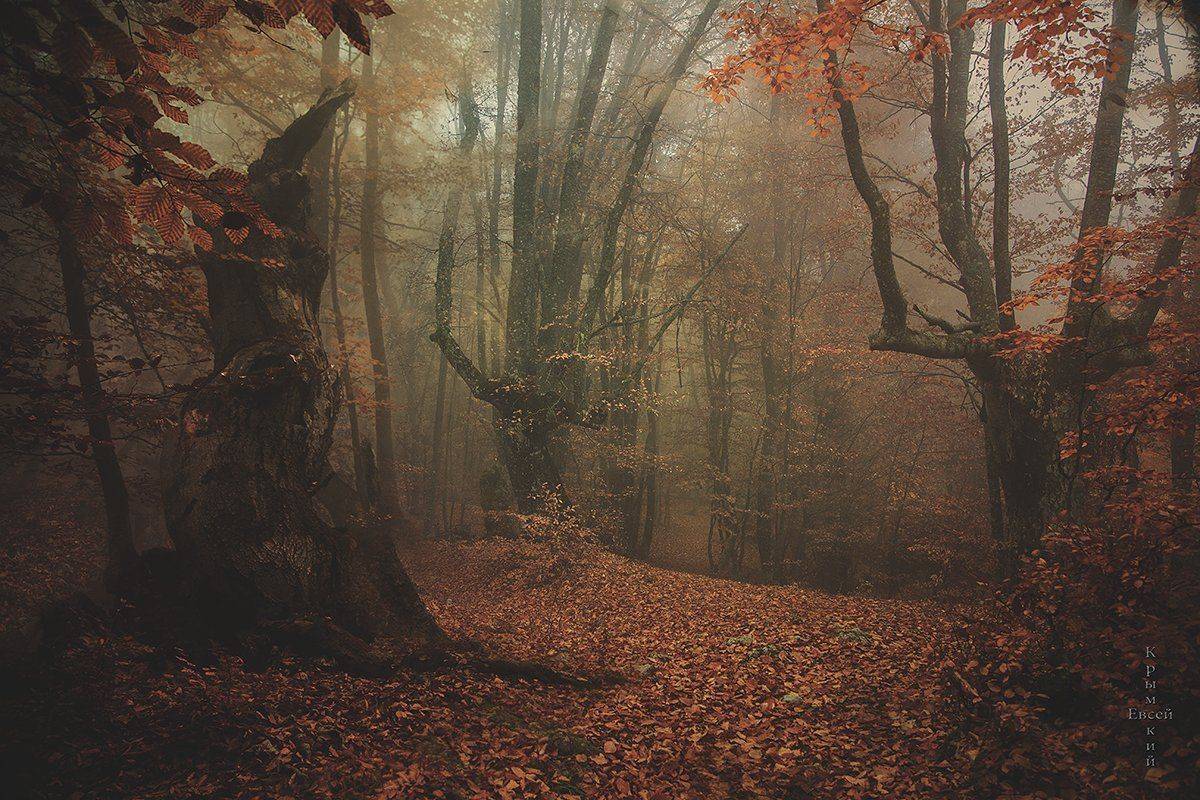 , Борис Костарев