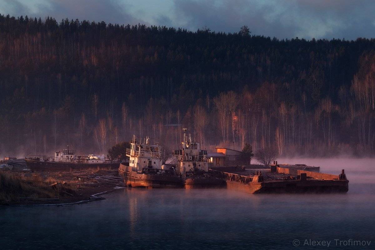 , Алексей Трофимов