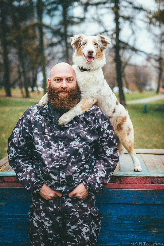 аусси, австралийская овчарка, борода, рыжие Семейный портрет фото превью
