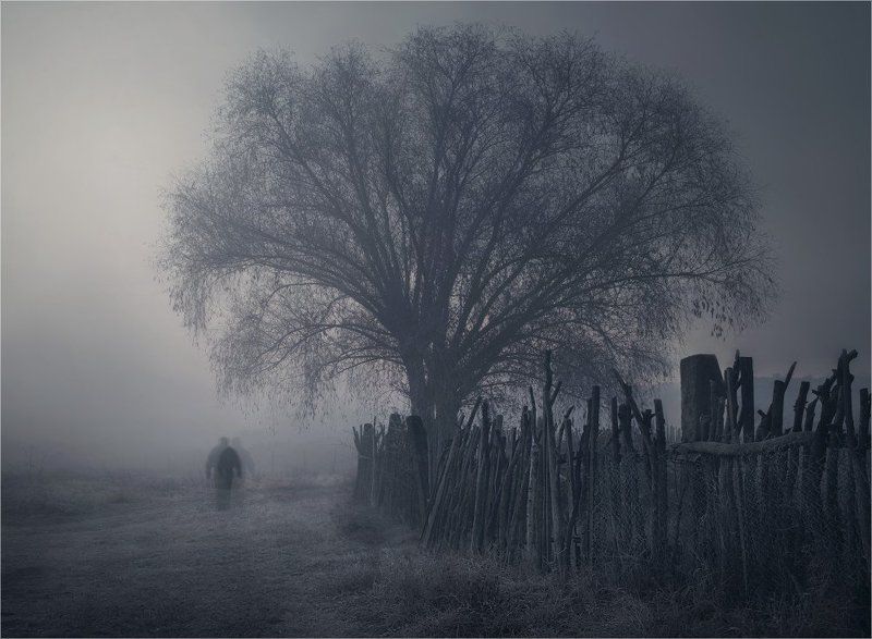 Ночные прогулки фото превью