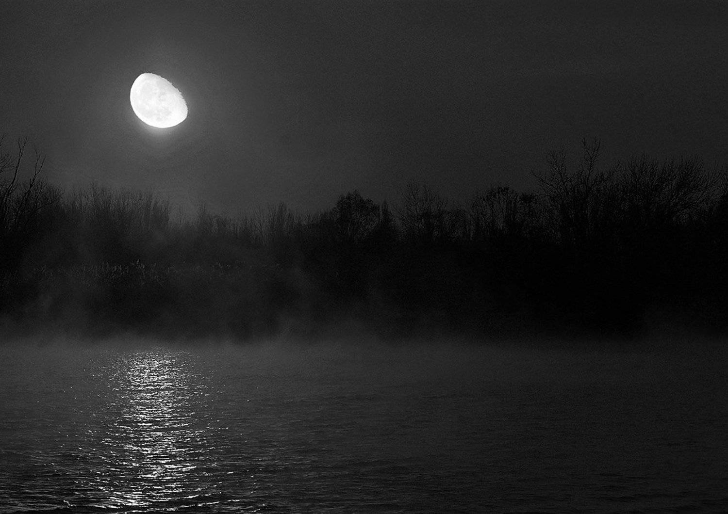 , Роман Рыжков