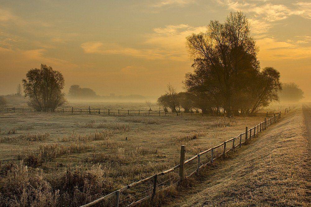 , Pawel Plucinski