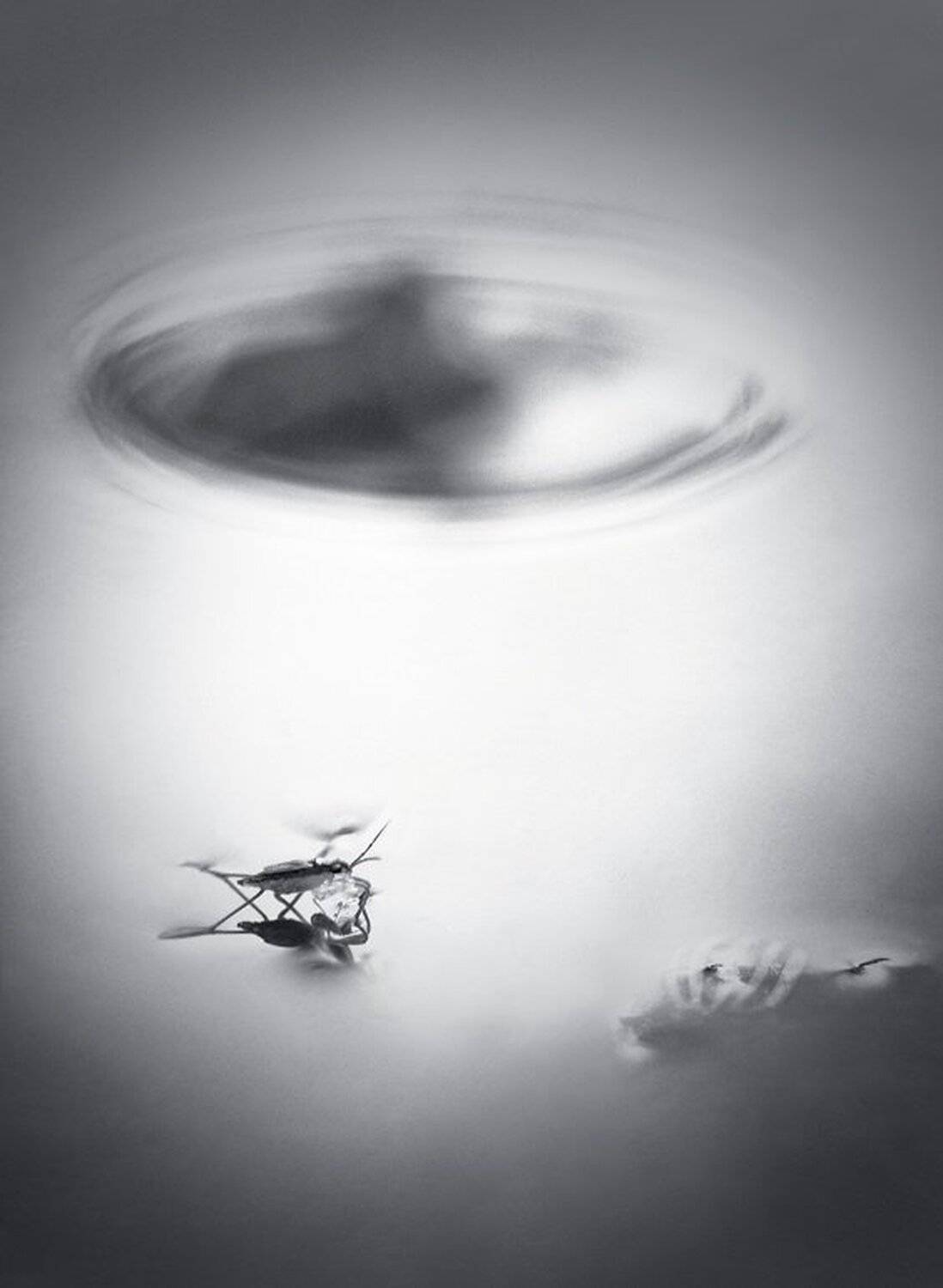 , Александр Журавлёв