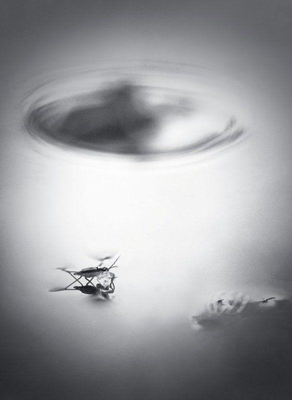 Водоворот фото превью