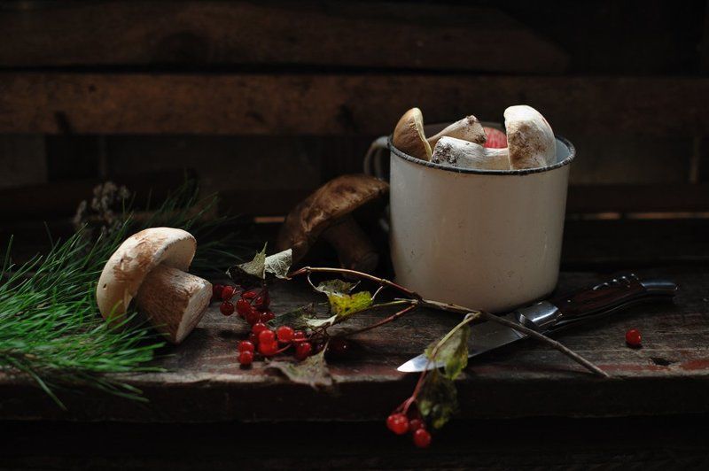 С грибами фото превью