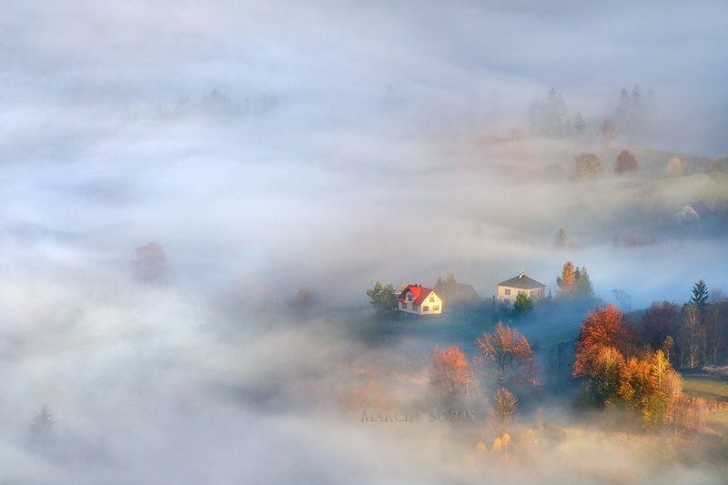 Between the fog