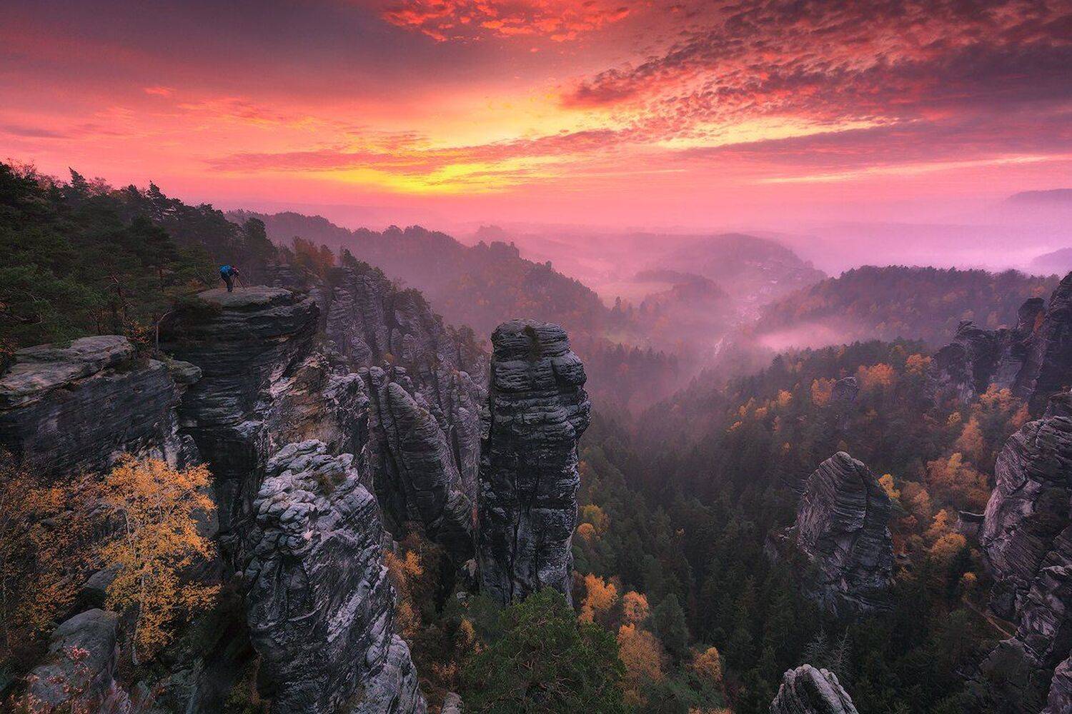 Saxony, Pawel Uchorczak