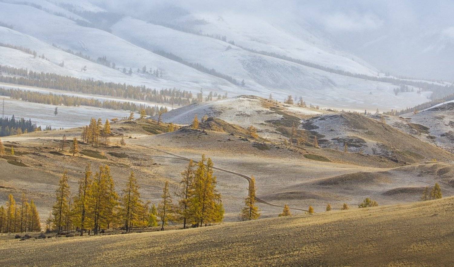 Алтай, осень, желтый, горы, путешествия, Скиндерева Ольга