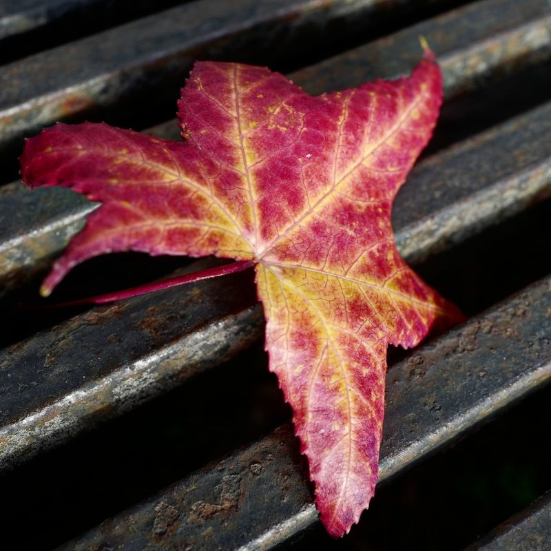 Неизбежное фото превью