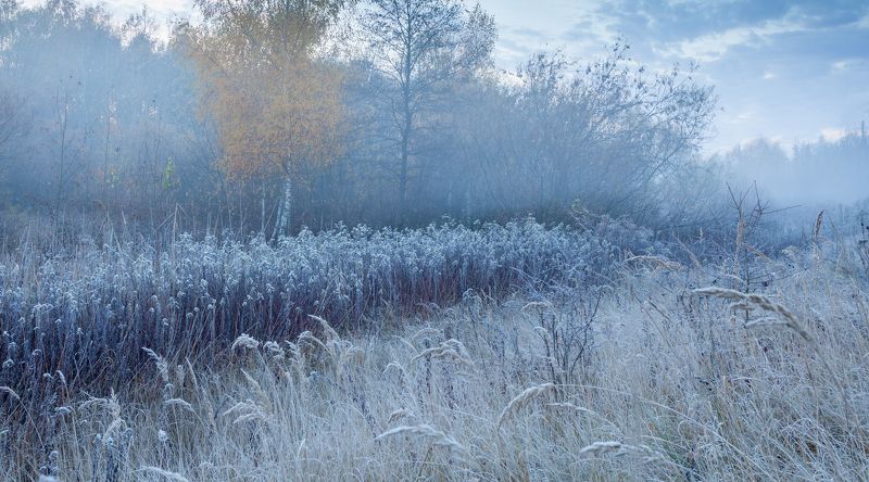 осень туман рассвет иней Застывшее дыхание осени фото превью