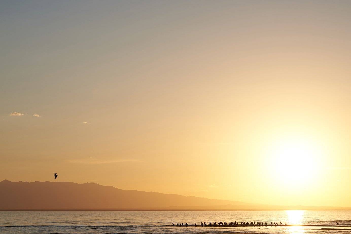 , Сергей Романчук