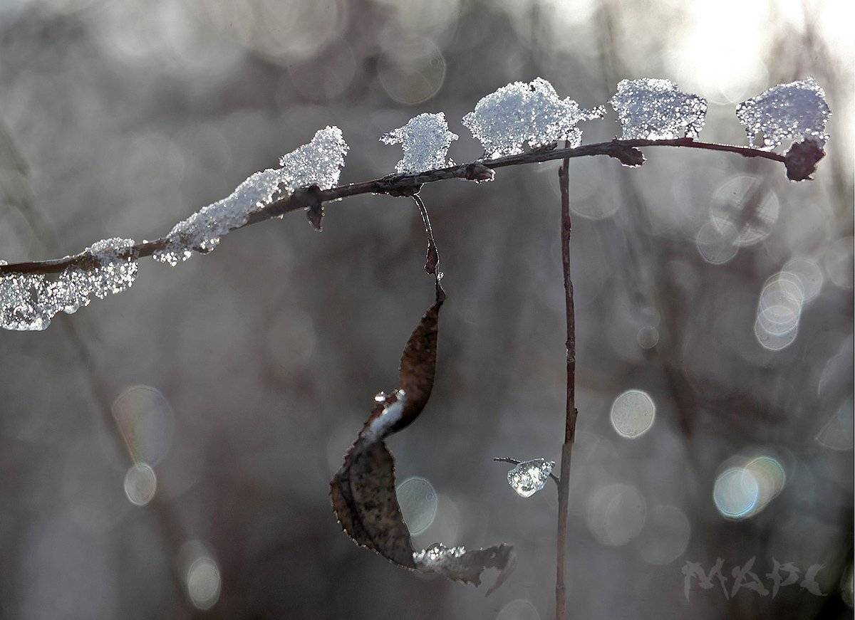 , Шангареев Марс