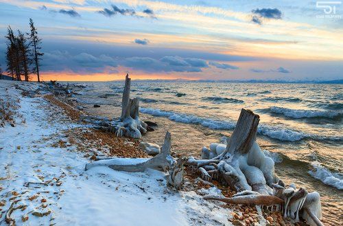 Краказябры на водопое