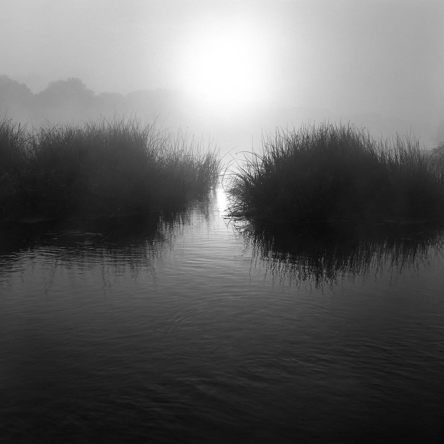 рассвет, река, Александр Резников