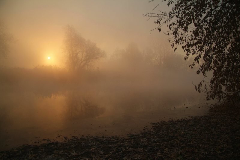 Good morning... фото превью