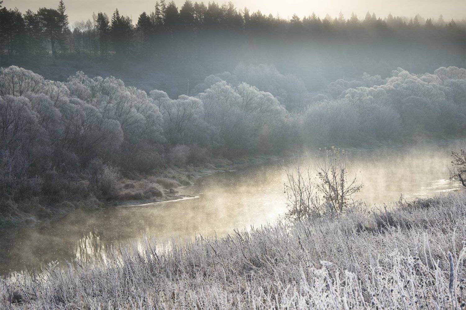 Иней, Лес, Ноябрь, Ока, Осень, Природа, Рассвет, Река, Россия, Тульская область, Утро, Денис Щербак