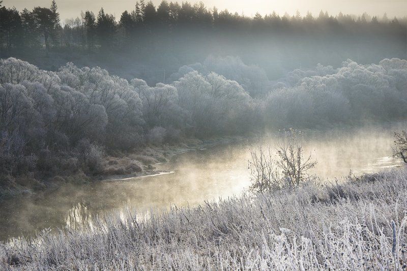 Иней, Лес, Ноябрь, Ока, Осень, Природа, Рассвет, Река, Россия, Тульская область, Утро Утро на Оке фото превью