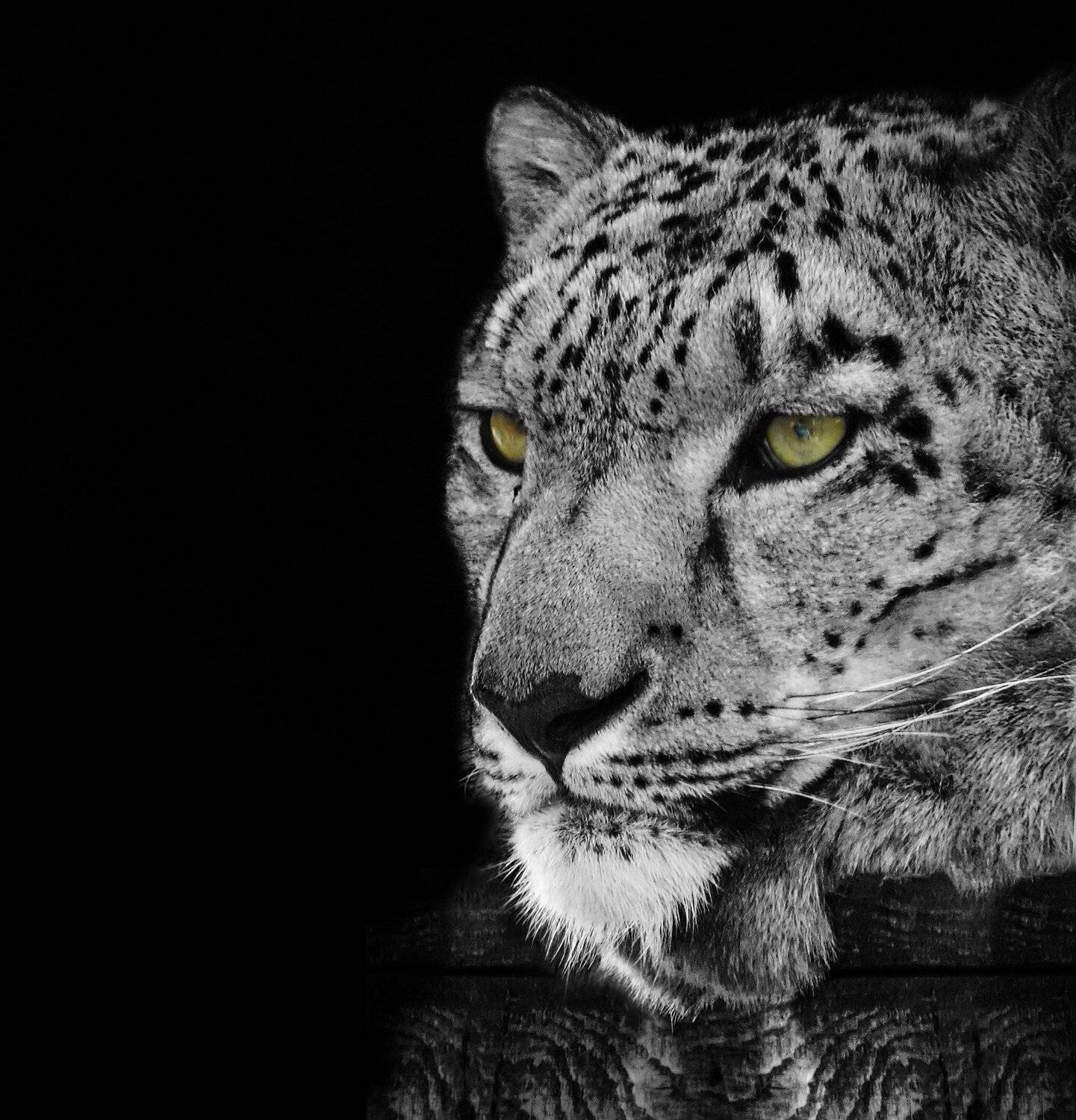 , Олег Богданов