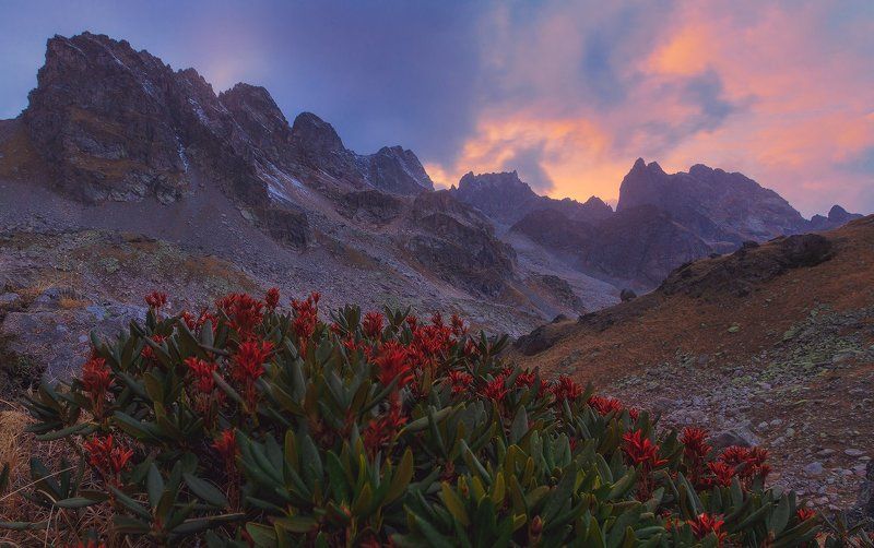 *** фото превью