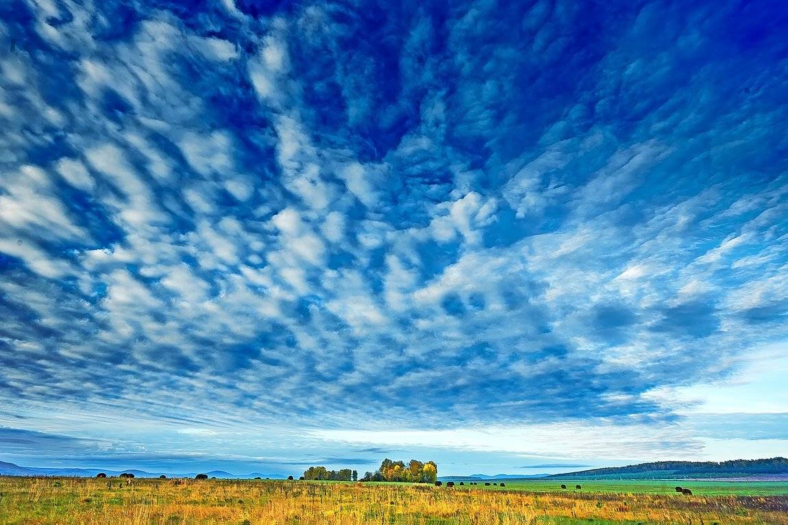 Качурин, Оренбургская область, Орск, Качурин Алексей