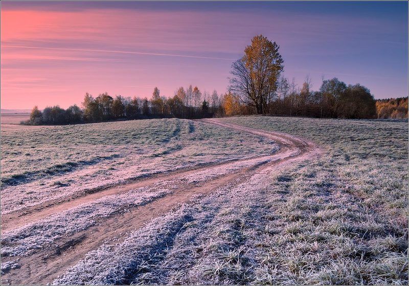 Первые заморозки... фото превью