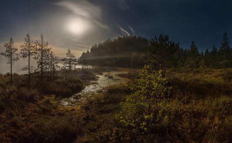 Чарующая ночь.  фото превью