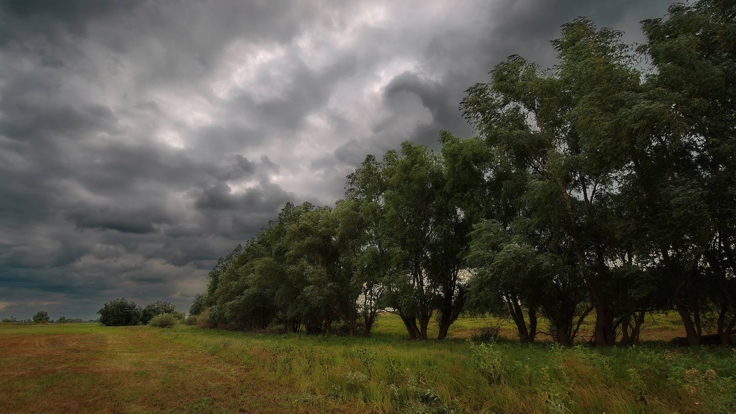 степь, ветер, тучи, Сергей Аникин