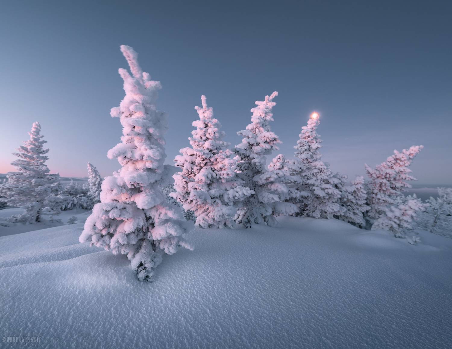 зюраткуль, южный урал, горы, снег, елки, рассвет, Дубровинский Михаил