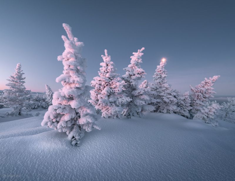 зюраткуль, южный урал, горы, снег, елки, рассвет В очереди за рассветом фото превью