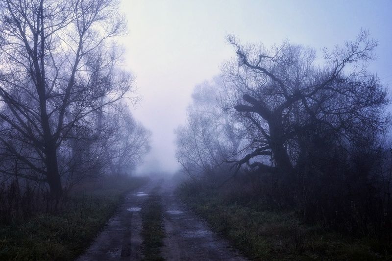 Глубины осени фото превью