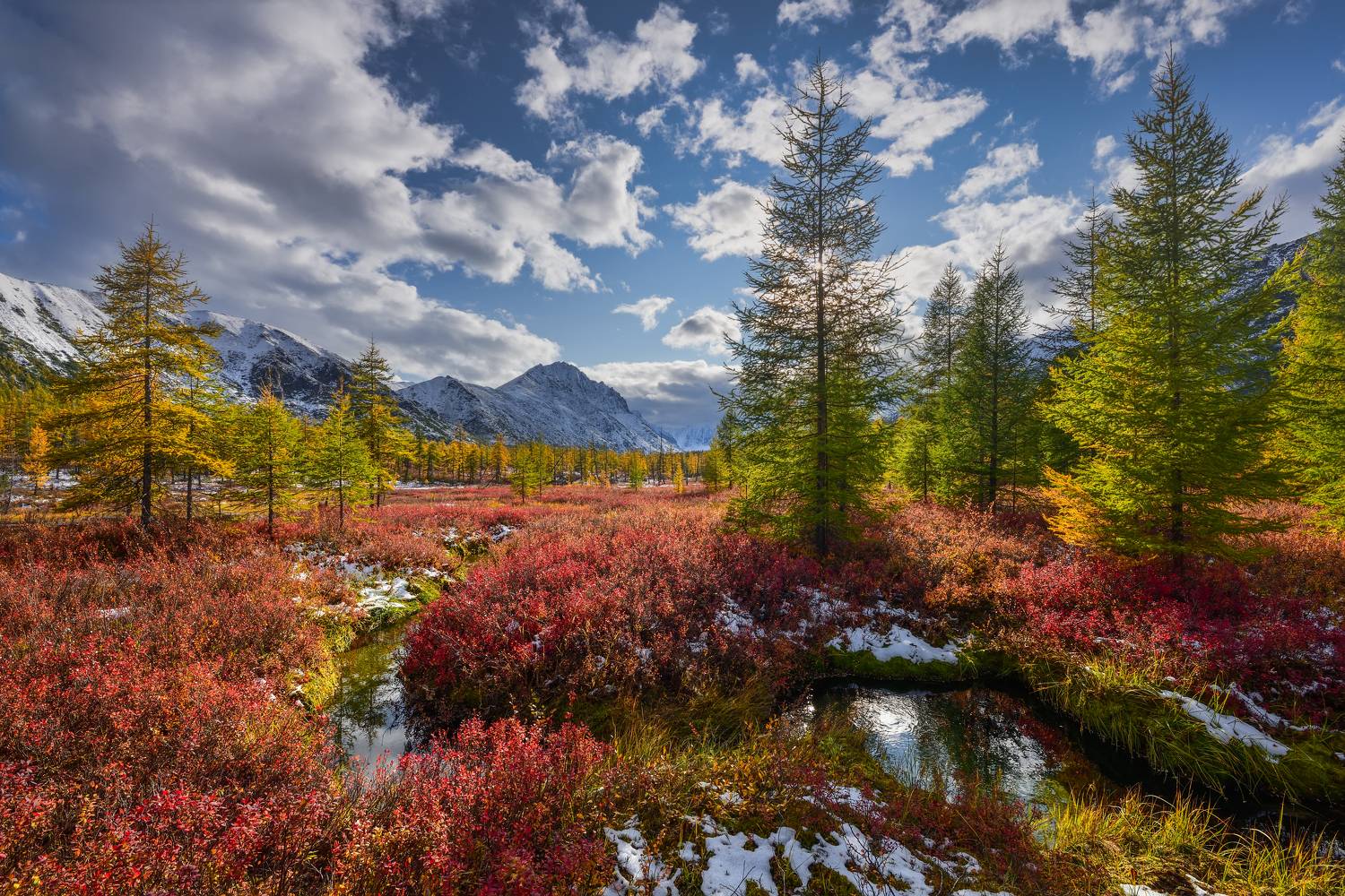 , Максим Евдокимов