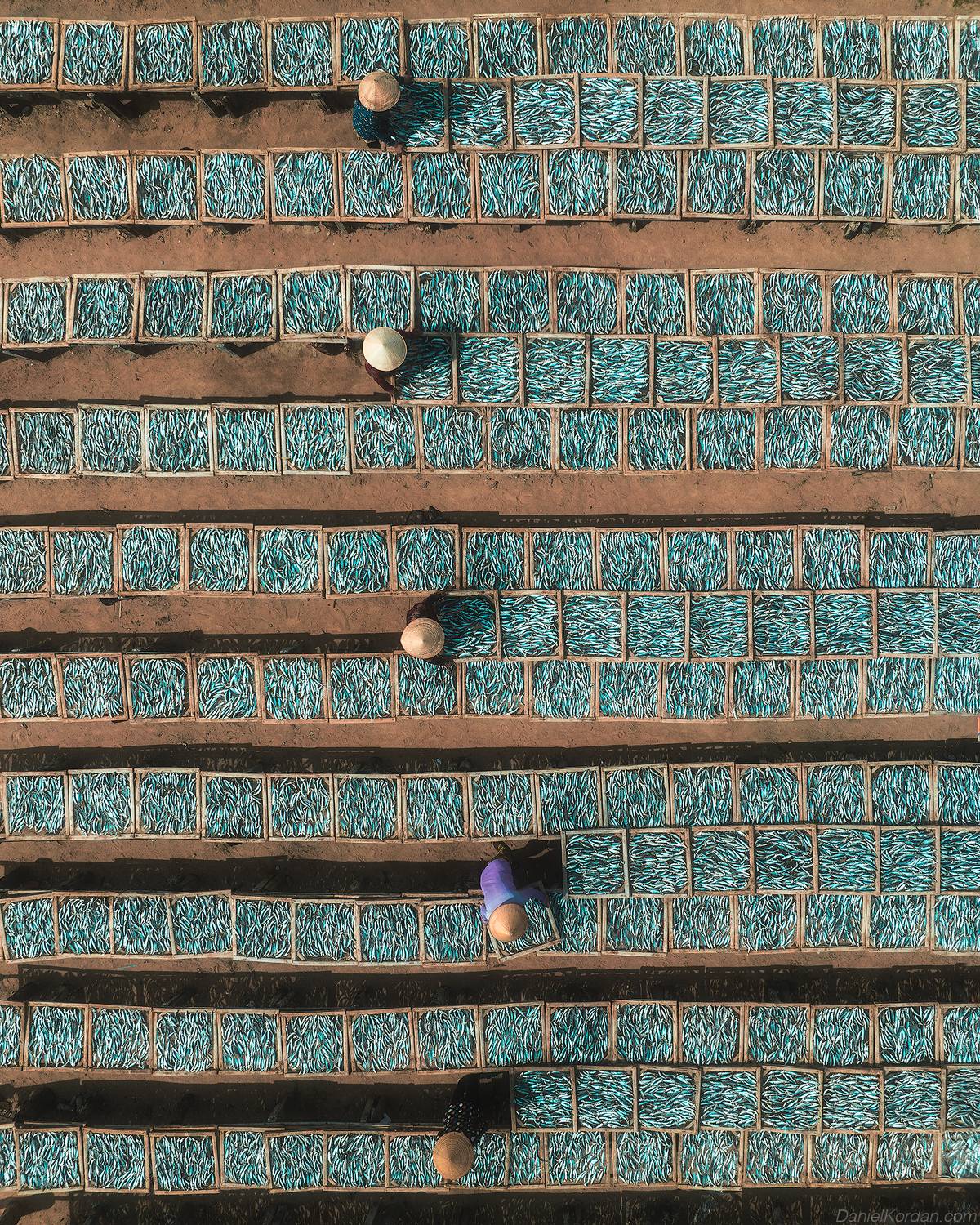 , Даниил Коржонов