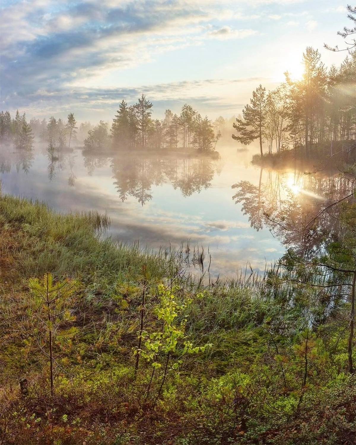 , Петр Косых