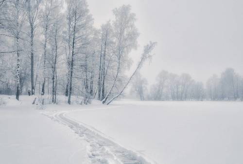 Белое безмолвие