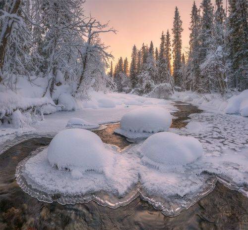 Шляпное изобилие.