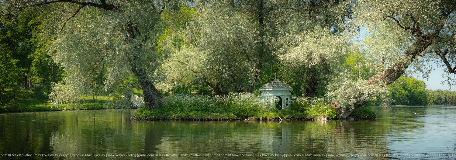 Europe, Gatchina, Leningrad region, Russia, animal, architecture, bird, building, house, island, nature, park, plant, pond, schwan, summer, swan, tree, water, willow, Гатчина, Дворцовый парк в Гатчине, Европа, Ленинградская область, Россия, архитектура, в, Максим Ковалёв