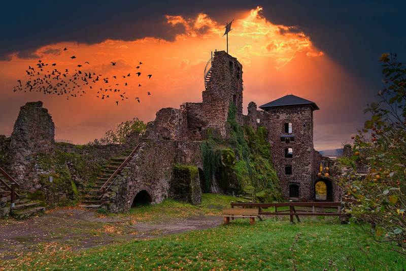 фото превью