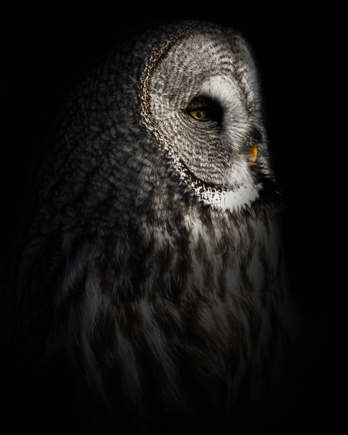 , Гильманов Артур