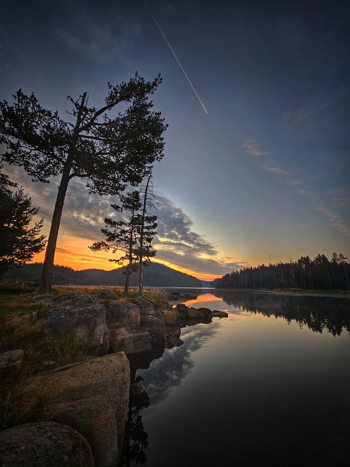 , Герчев Николай