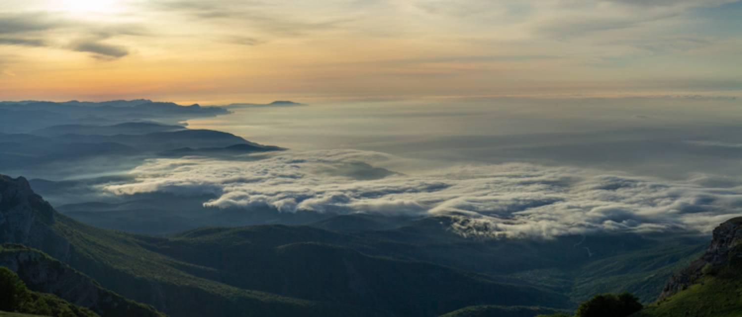 , Раимун Алексей
